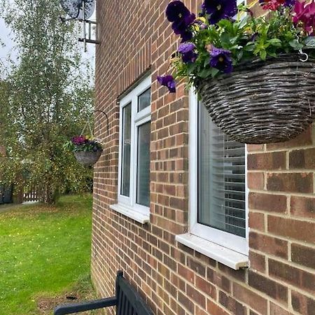 Cosy Studio Apartment Waterlooville Exteriör bild