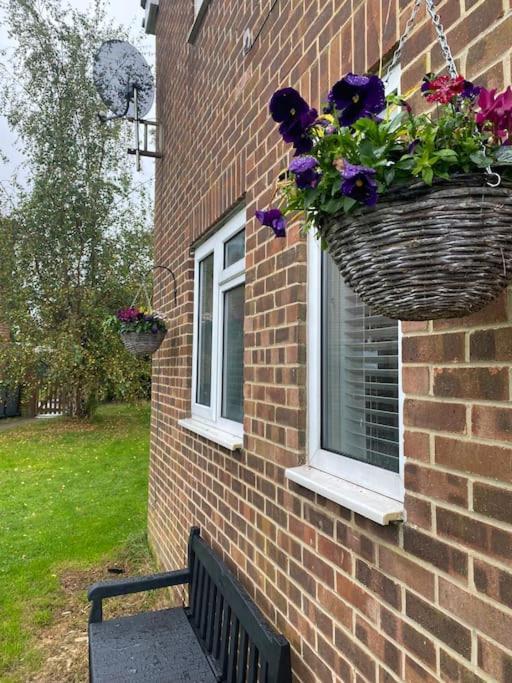 Cosy Studio Apartment Waterlooville Exteriör bild