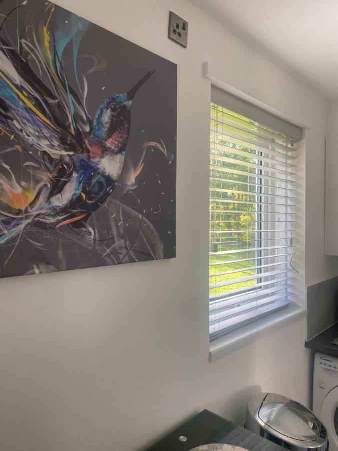 Cosy Studio Apartment Waterlooville Exteriör bild
